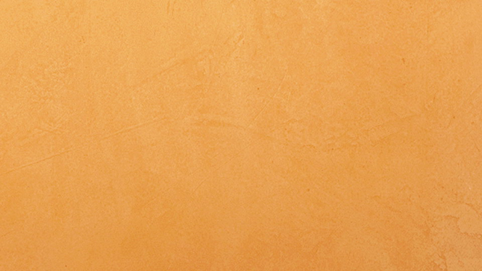 Collection LIVE: colores atrevidos y con fuerza